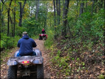 Trout Valley Trails