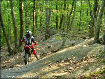 Honda CRF Dirtbike at F. Gilbert Hills State Forest Trail