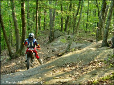 Honda CRF Motorbike at F. Gilbert Hills State Forest Trail