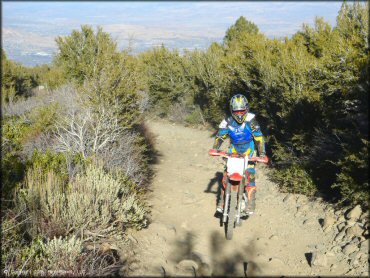 Honda CRF Motorcycle at Hunter Lake Trail