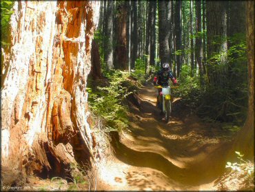 OHV at Upper Nestucca Motorcycle Trail System