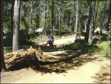 Honda CRF Motorcycle at Lower Blue Lake Trail