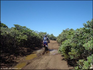 Honda CRF Dirt Bike crossing the water at South Cow Mountain Trail
