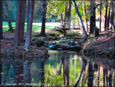 OHV at Pittsfield State Forest Trail