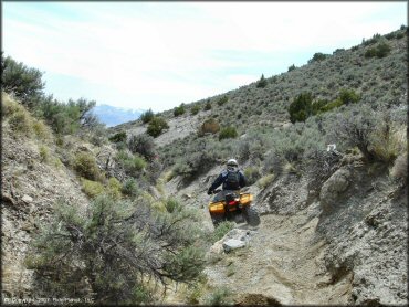 OHV at Blue Mountain Trail