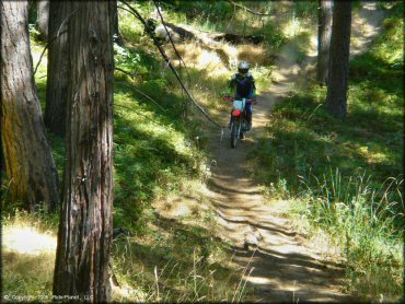 Honda CRF Dirt Bike at Miami Creek OHV Area Trail