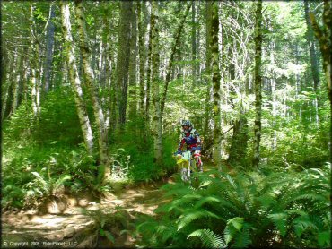 Girl riding a OHV at Upper Nestucca Motorcycle Trail System