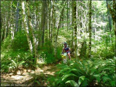 Woman on a OHV at Upper Nestucca Motorcycle Trail System