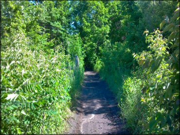 Example of terrain at Spillway Cycle Area Trail