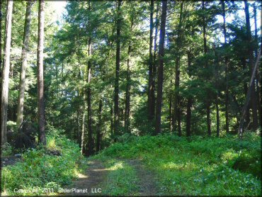 Camden ATV Trail