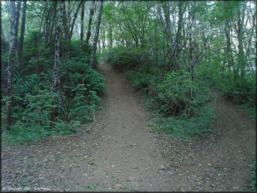 Example of terrain at Trask OHV Area Trail