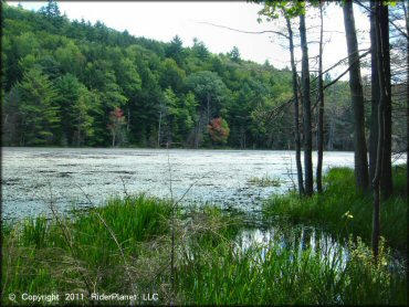 Scenic view of Pisgah State Park Trail