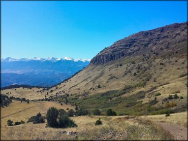 Texas Creek Trail