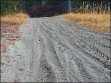 Douglas Hill OHV Area Trail