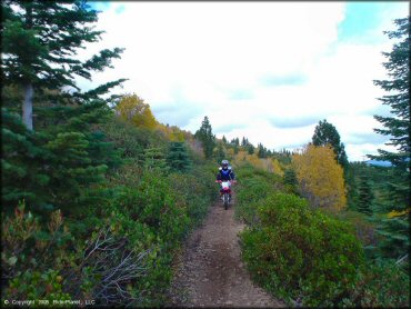 Honda CRF Motorcycle at Prosser Hill OHV Area Trail