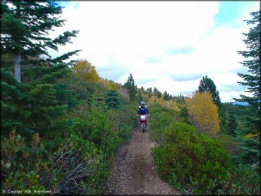 Honda CRF Dirt Bike at Prosser Hill OHV Area Trail