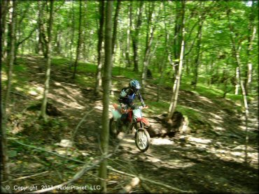 Honda CRF Dirt Bike at Tall Pines ATV Park Trail