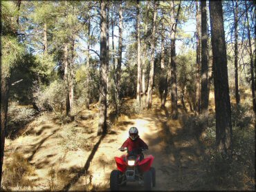 OHV at Alto Pit OHV Area Trail