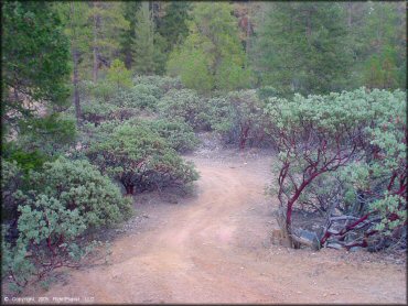 Terrain example at Greenhorn Trail