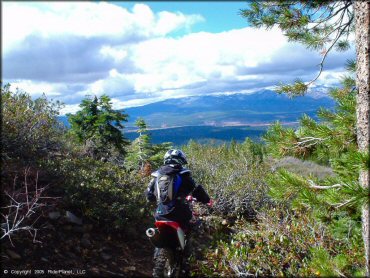 Honda CRF Dirt Bike at Prosser Hill OHV Area Trail