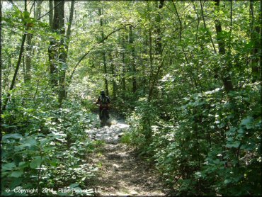 Honda CRF Off-Road Bike at Wrentham Trails