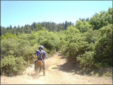 Honda CRF Motorbike at South Cow Mountain Trail