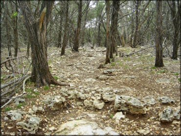 Some terrain at Emma Long Metropolitan Park Trail