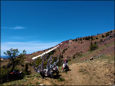 Miller Peak Trail