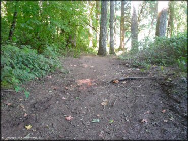 Terrain example at Prairie Peak Trail
