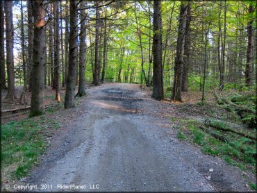 Terrain example at Pittsfield State Forest Trail