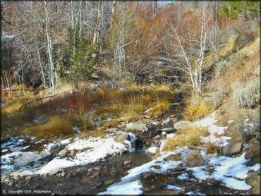 Scenic view at Timberline Road Trail