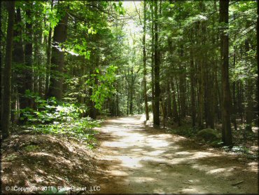 Example of terrain at Pisgah State Park Trail