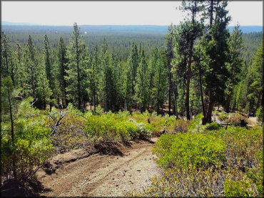 Three Trails OHV System