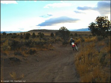 Honda CRF Dirt Bike at Mount Seigel OHV Trails