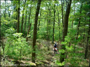 OHV at Wrentham Trails