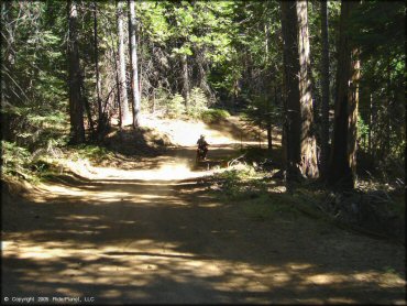 Honda CRF Motorcycle at Interface Recreation Trails