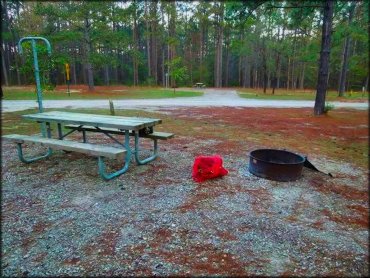 Photo of campsite with gravel parking, picnic table, fire ring and lantern holder surrounded by pine trees.