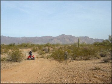 Honda Quad at Desert Wells Multiuse Area Trail