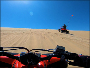 Silver Lake State Park Dune Area