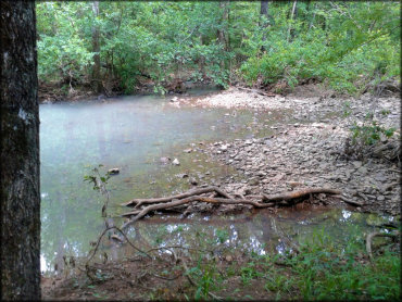 Brock Creek Trails