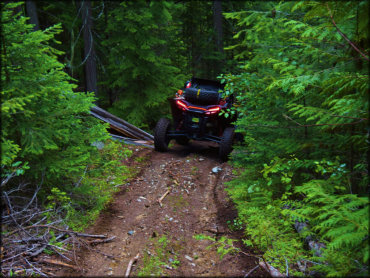 Owl Mountain Trail