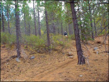Honda CRF Dirt Bike at Prosser Hill OHV Area Trail