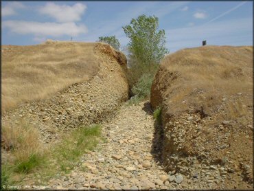 Scenery from Clay Pit SVRA Riding Area