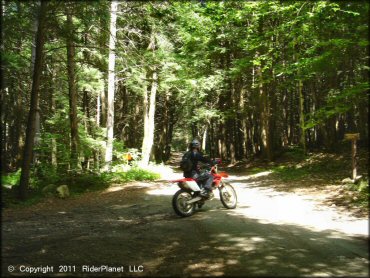 Honda CRF Dirtbike at Pisgah State Park Trail