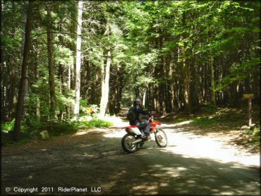 Honda CRF Motorcycle at Pisgah State Park Trail