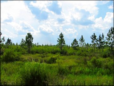 Mallory Swamp ATV Trail