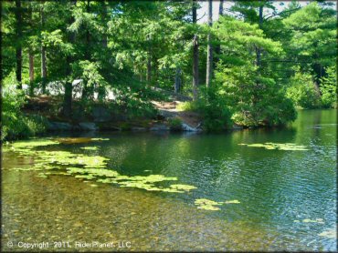 Scenic view at Pisgah State Park Trail