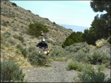 OHV at Blue Mountain Trail