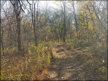 School Creek ORV Area Trail