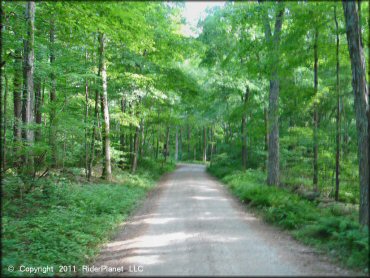 A trail at Pachaug State Forest Trail